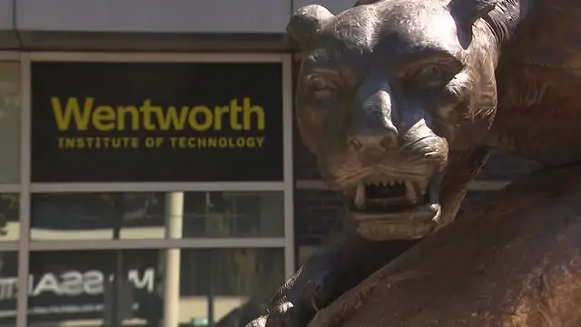 Instituto Wentworth lança nova formação em inteligência artificial